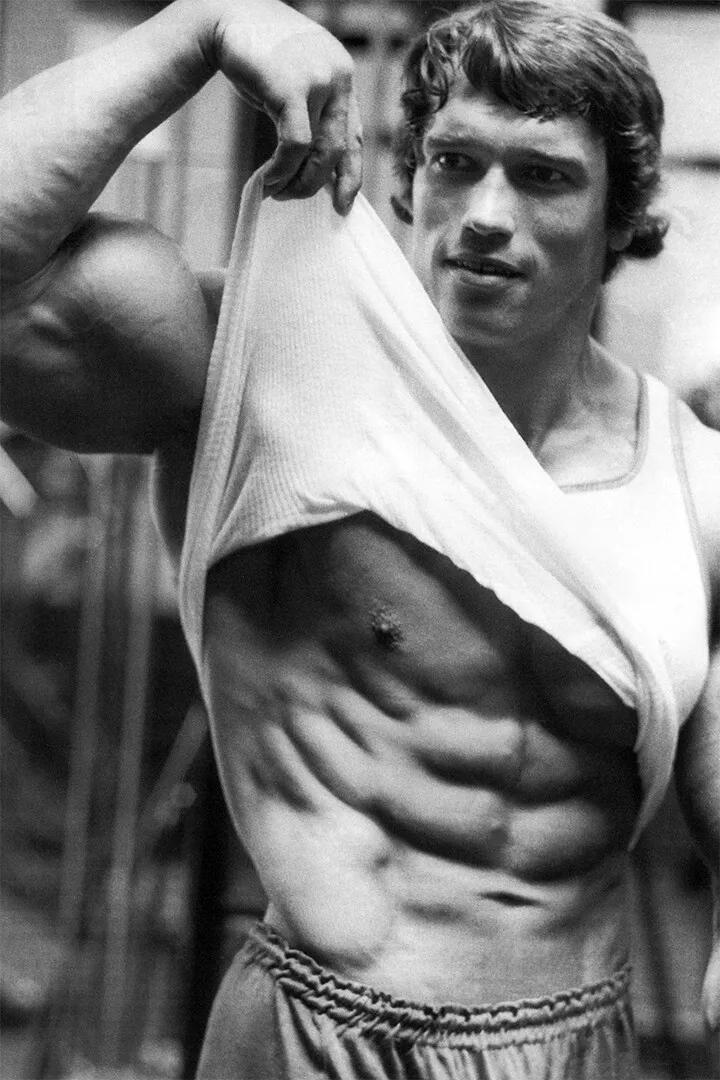 Citas Motivacionales de Arnold - Home Gym Quotes reseña y precio